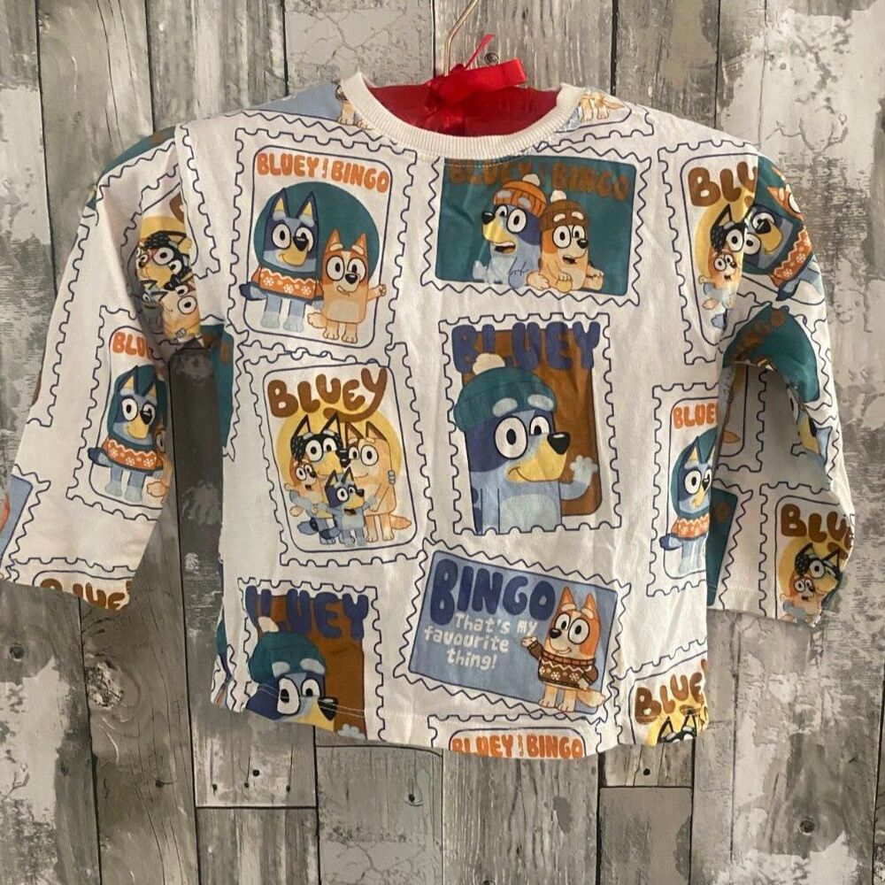 Zara Bluey toddler long sleeve stamp graphic shirt 2-3yrs